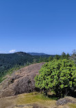 Lone Tree Hill Regional Park