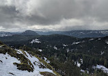 Lone Tree Hill Regional Park