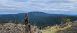 Lone Tree Hill Regional Park