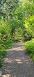 Lone Tree Hill Regional Park