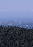 Lone Tree Hill Regional Park