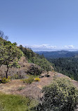 Lone Tree Hill Regional Park