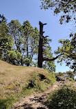 Lone Tree Hill Regional Park