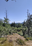 Lone Tree Hill Regional Park