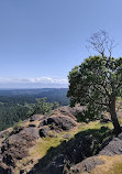 Lone Tree Hill Regional Park