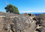 Lone Tree Hill Regional Park