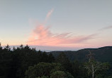 Lone Tree Hill Regional Park