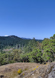 Lone Tree Hill Regional Park