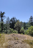 Lone Tree Hill Regional Park