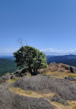 Lone Tree Hill Regional Park