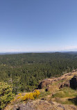 Lone Tree Hill Regional Park