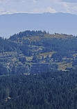 Lone Tree Hill Regional Park