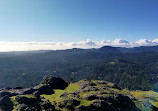 Lone Tree Hill Regional Park