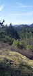 Lone Tree Hill Regional Park