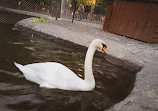 Kuğulu Park