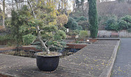 giardino botanico