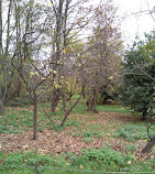 giardino botanico