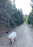 Lions Den Trailhead