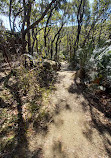 Bouddi Coastal Walk