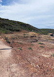 Bouddi Coastal Walk