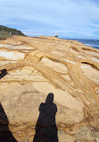 Bouddi Coastal Walk