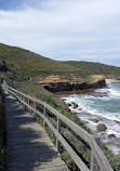 Bouddi Coastal Walk