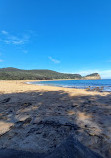 Bouddi Coastal Walk