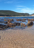 Bouddi Coastal Walk