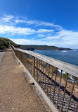 Bouddi Coastal Walk