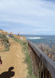 Bouddi Coastal Walk