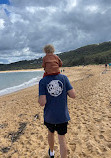 Bouddi Coastal Walk