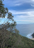 The Coast track