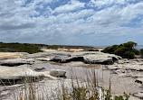 The Coast track