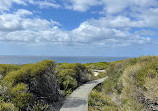 The Coast track