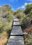 The Coast track