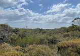 The Coast track