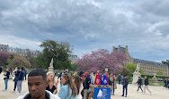 Jardin du Carrousel