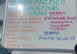 San Francisco Whale Tours