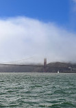 San Francisco Whale Tours