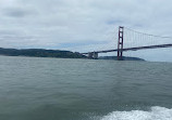 San Francisco Whale Tours