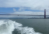 San Francisco Whale Tours