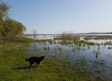 Richards Beach