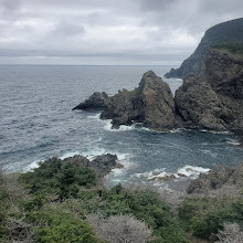 Bottle Cove