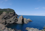 Bottle Cove