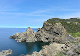 Bottle Cove