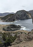 Bottle Cove