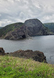 Bottle Cove