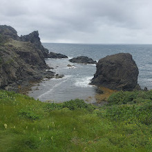 Bottle Cove