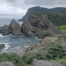 Bottle Cove