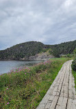 Bottle Cove